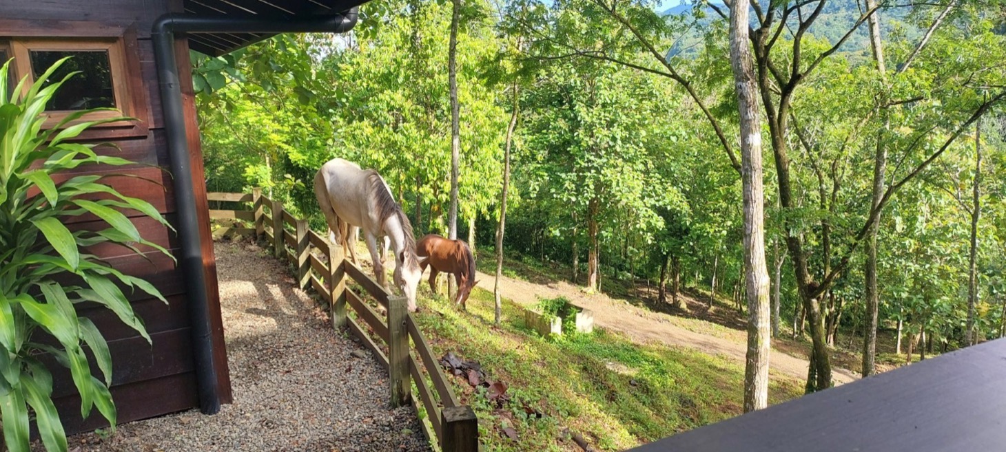Rustic Elegance in the Heart of Nature – Tres Ríos Mountain Retreat with Expansion Potential selected