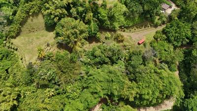 Expansive Oceanview Estate Lot in Uvita image 5