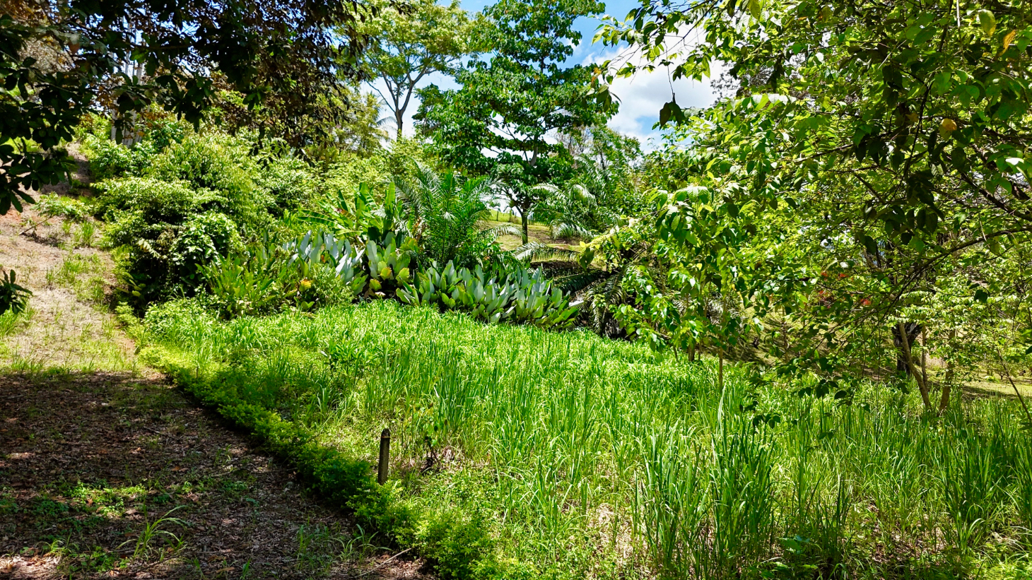 Tranquil neighbourhood mountain view lot in Ojochal, South Pacific, Cost Rica (Lot #1) selected