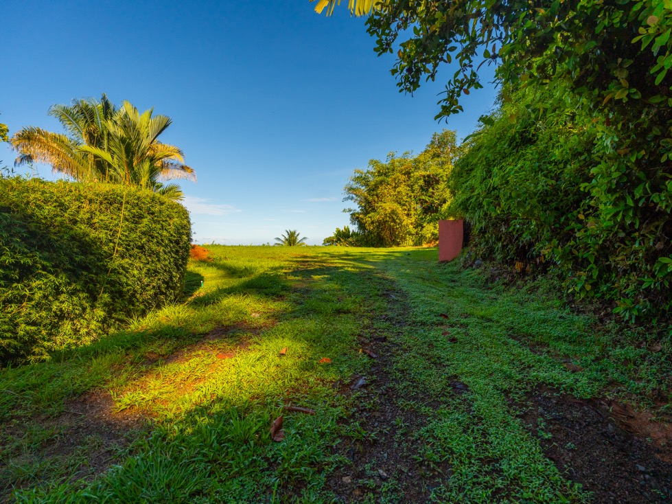 Spectacular Ocean View Parcel in Uvita’s Premier Hillside Community selected
