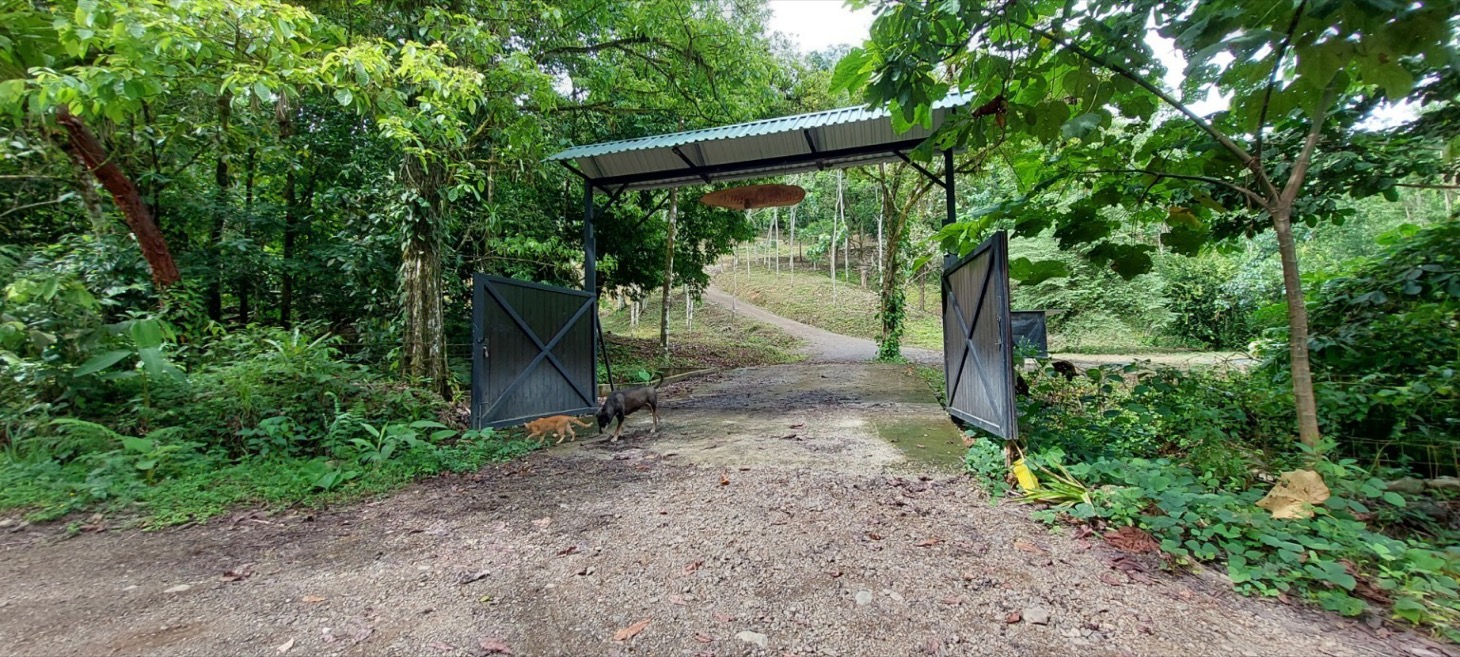 Rustic Elegance in the Heart of Nature – Tres Ríos Mountain Retreat with Expansion Potential selected