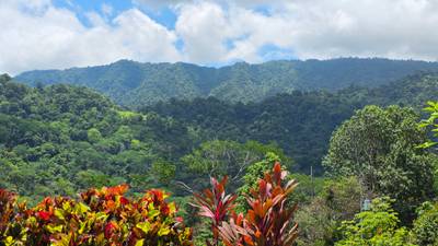 Ojochateau - Rare Ocean & Mountain View 4BR Home in Costa Rica image 3