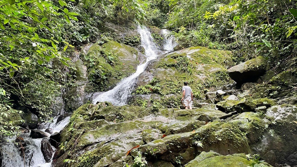 145 Acres With Swimming Holes, Waterfalls And Ocean Views selected