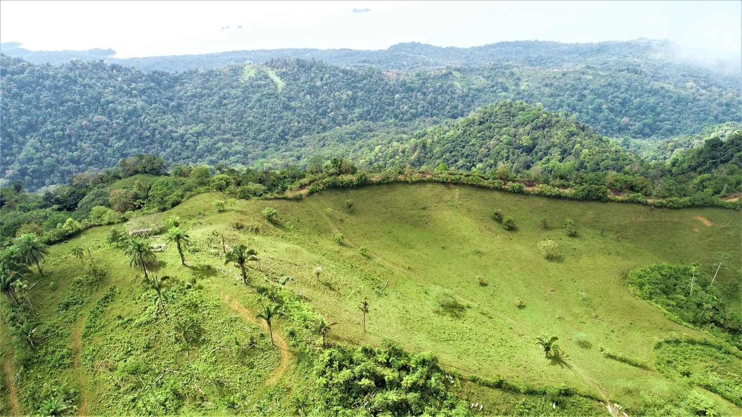 3 Spectacular Ocean View Farms in Uvita selected