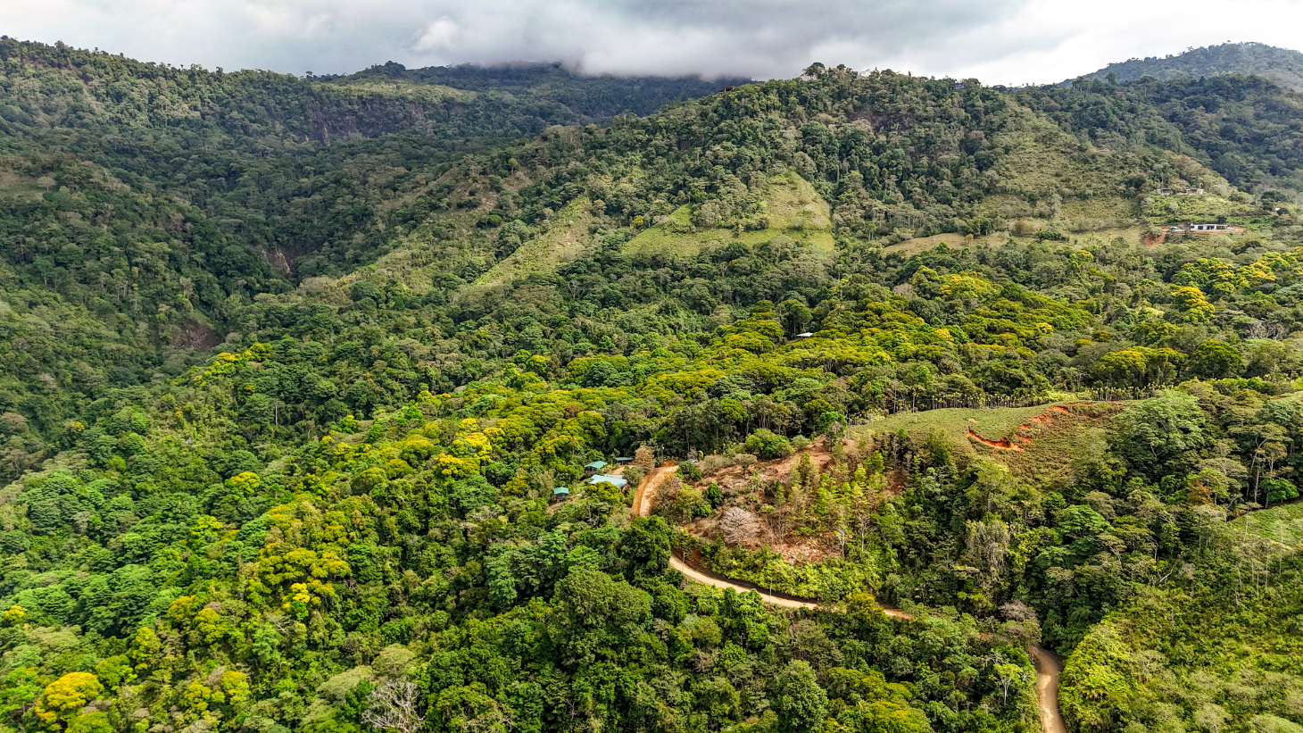 1.5 Acre Ocean & Mountain View Lot Near Uvita | Legal Water & Privacy selected