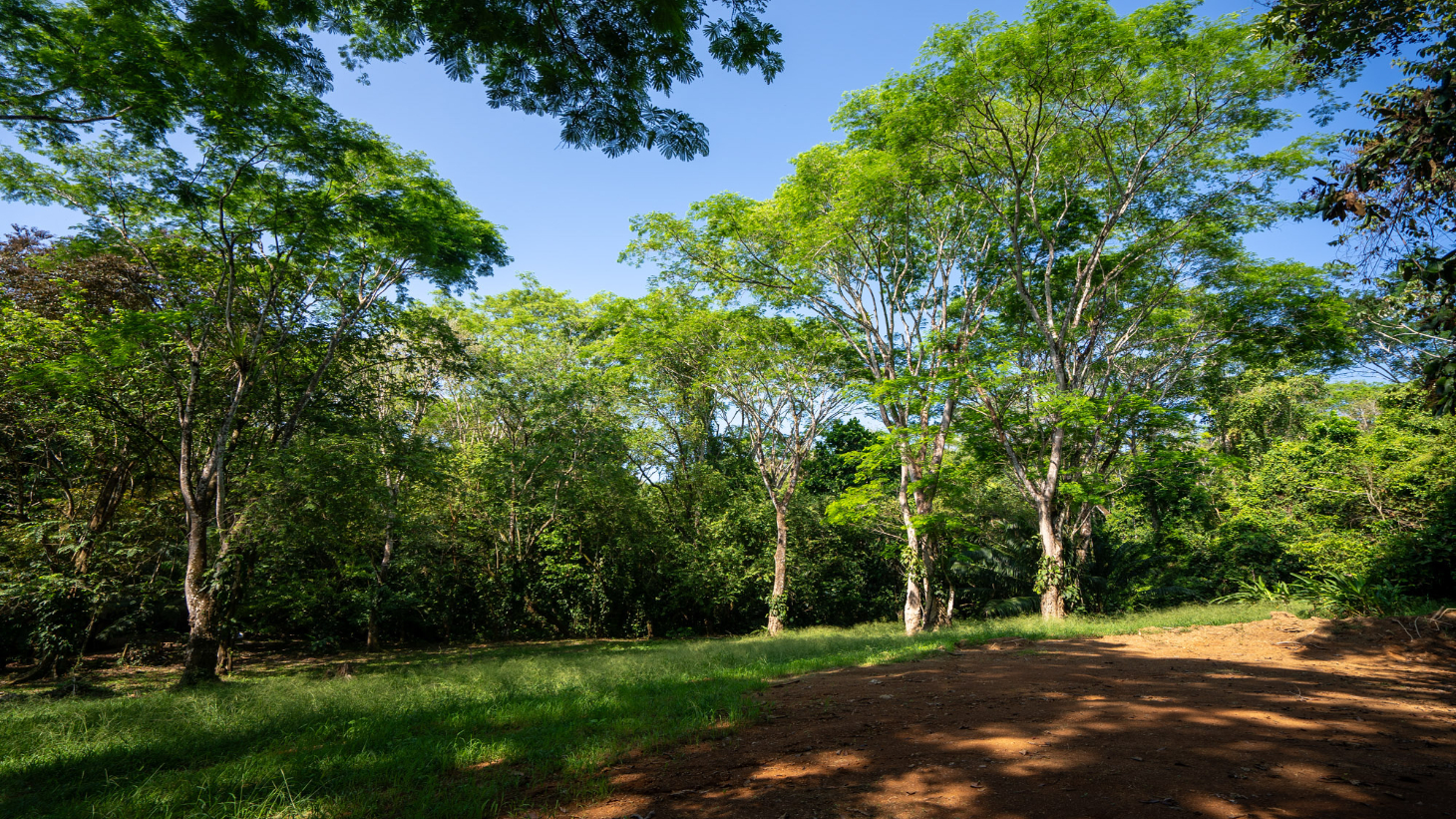 Rare 86-Acre Ocean View Estate Bordering Hacienda Barú – A Unique Opportunity for Conservation and Development selected