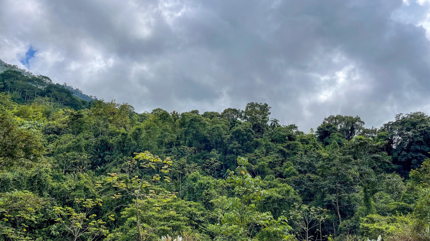 Secluded 4.5-Hectare Riverfront Oasis Near Hatillo & Dominical – Dos Bocas, Costa Rica selected