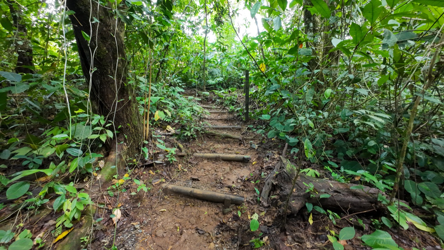 Tropical Retreat in Ojochal with Ocean Views, Private Waterfall & Expansion Potential selected