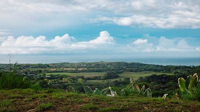 Top 3 Ocean View in Uvita | 180° Unobstructed image 4