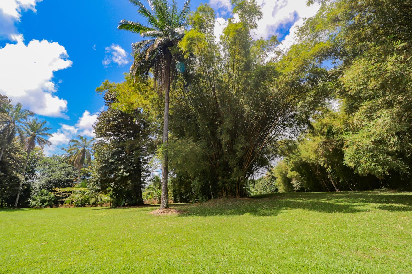 3.7-Acre Airport-Adjacent Property with Direct Runway Access, Prime Zoning, and Mountain Views selected