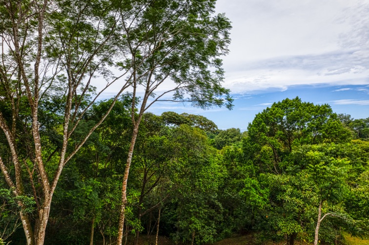 Highway Frontage Commercial and Residential Lot in Ojochal selected