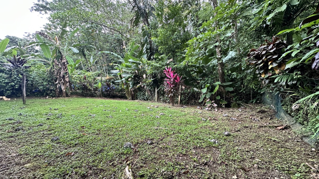 Prime Commercial Opportunity in Uvita selected