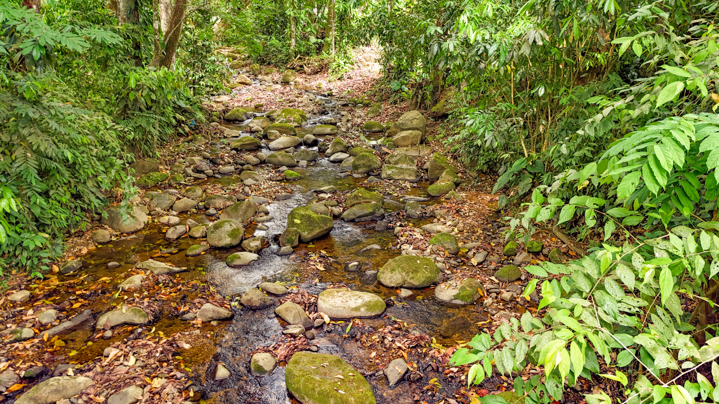 3-Bed Home on Calle Principal Ojochal with River & Jungle selected