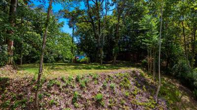 Tropical Sanctuary Above Uvita: 5-Acre Jungle Estate with incredible Mountain Views image 3
