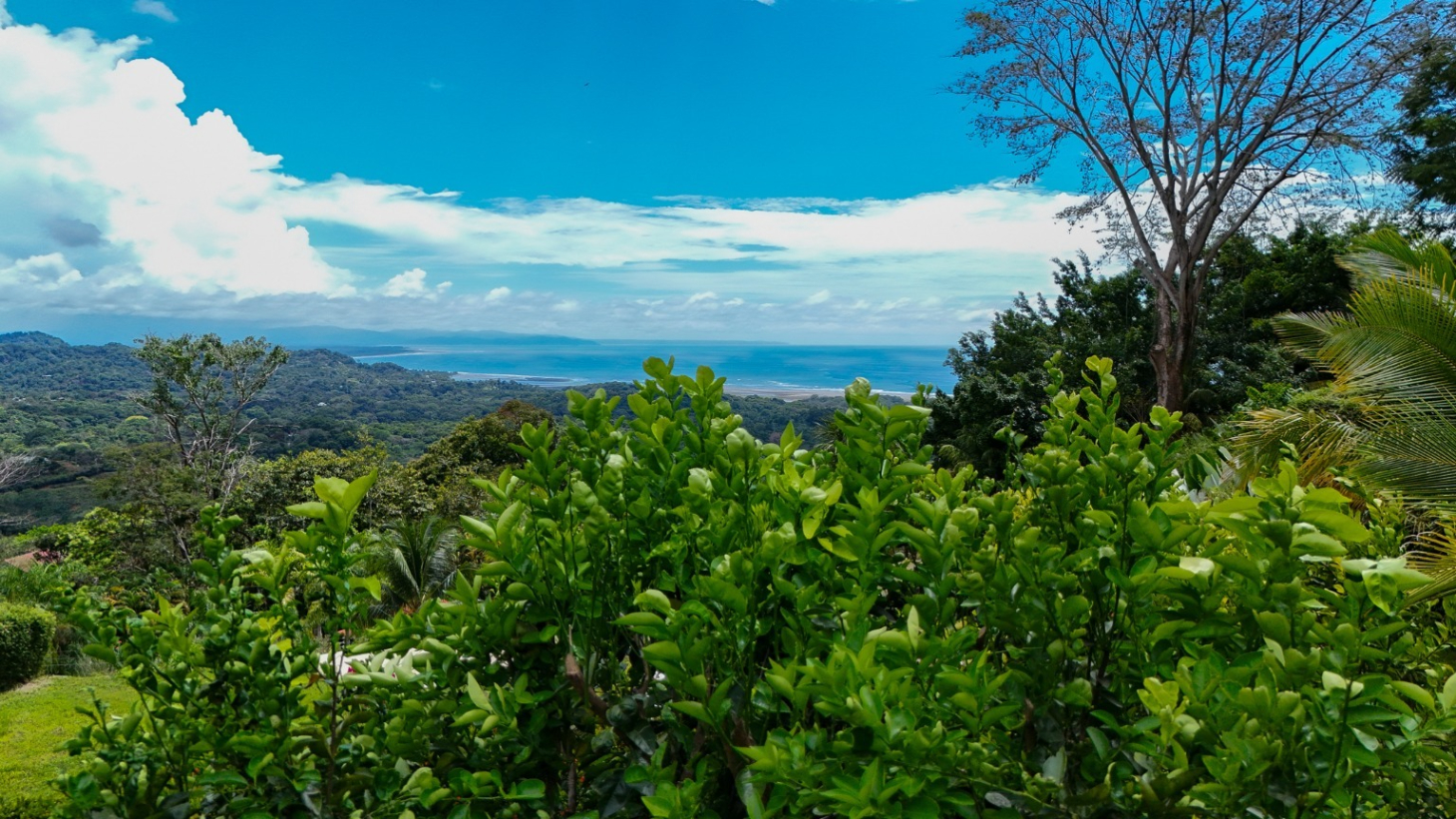 Classic Ecomaderas Home with Stunning Ocean Views – Ojochal Phase 5 selected