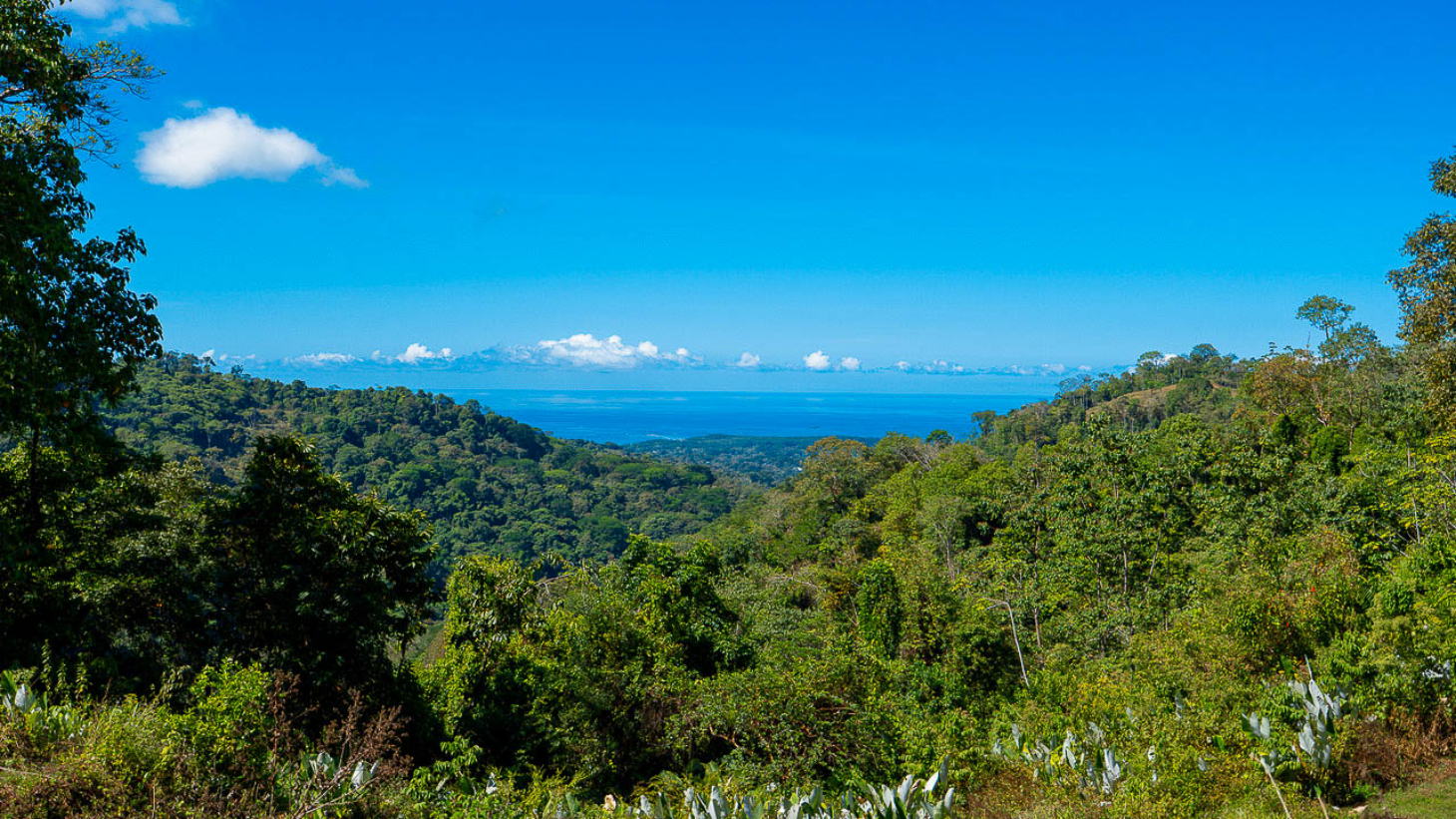 Whale Tail Views Luxury Waterfall Farm selected