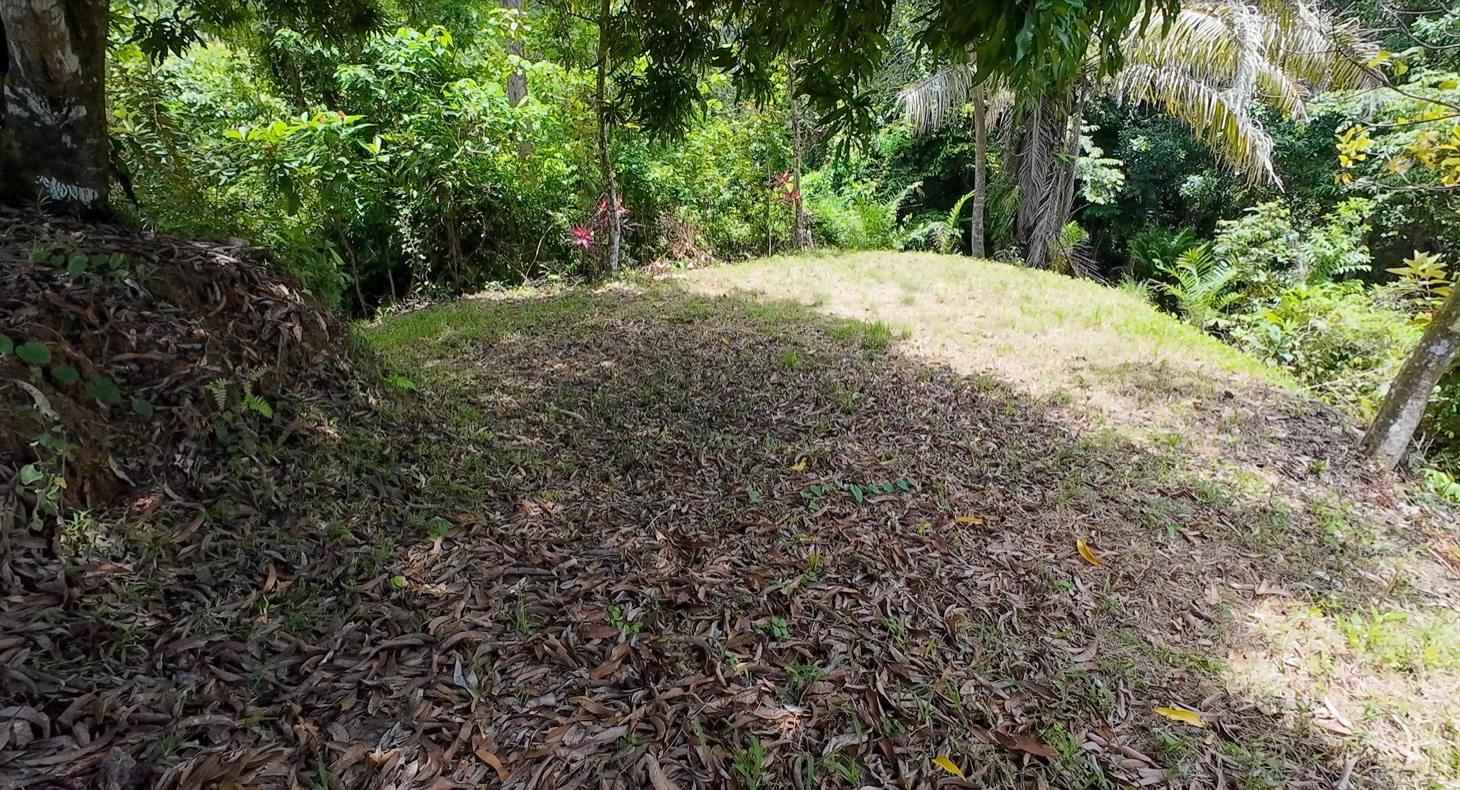 Stunning 16 acre Ocean View Property San Buenas, Costa Rica  selected