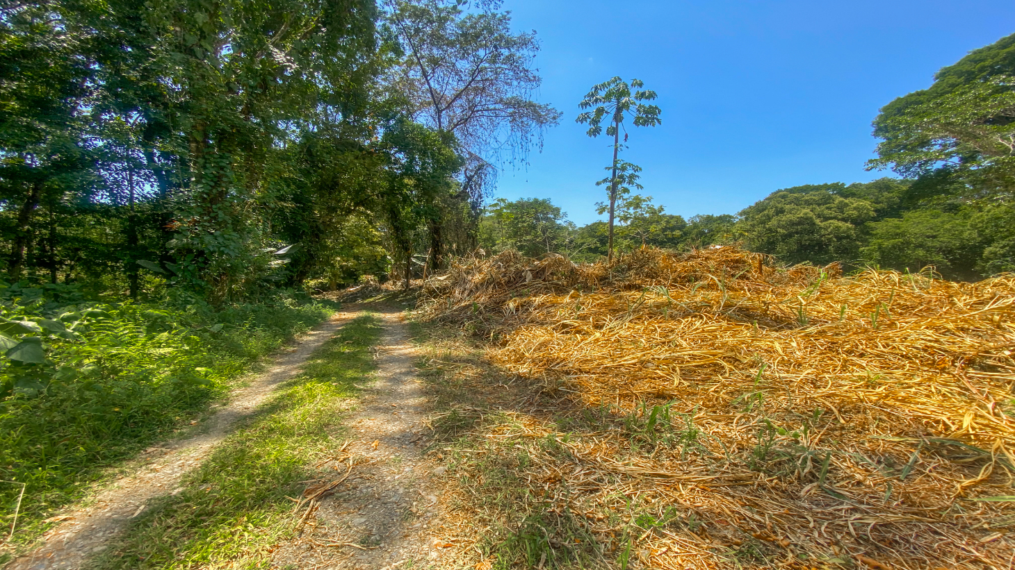 2.46 Acre Jungle Land for Sale in Ojochal with River Border selected
