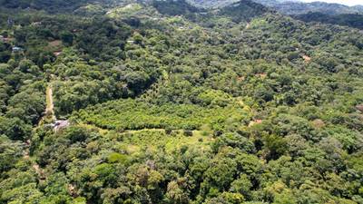 Premium 9.3-Hectare Farm for Sale in Ojochal, Costa Rica image 4