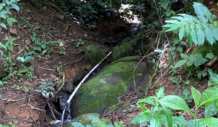 2.9 ACRES – Tons of Fruit Trees, 3 Bedroom Tico Home Plus Bodega In Tinamastes selected