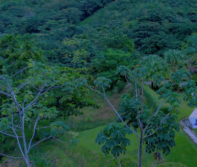 Ocean and Mountain View Lot in Phase 11 Ojochal image 3