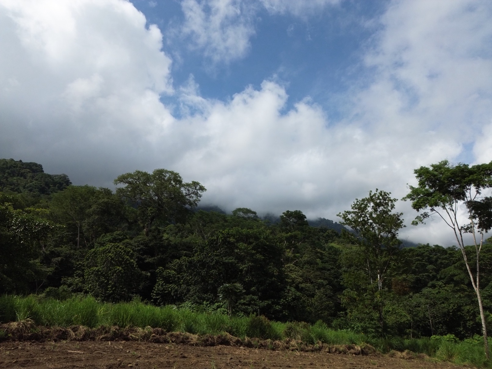 Serene 1.32-Acre Lot with Expansive Mountain Views in Caracara Ridge, Ojochal selected