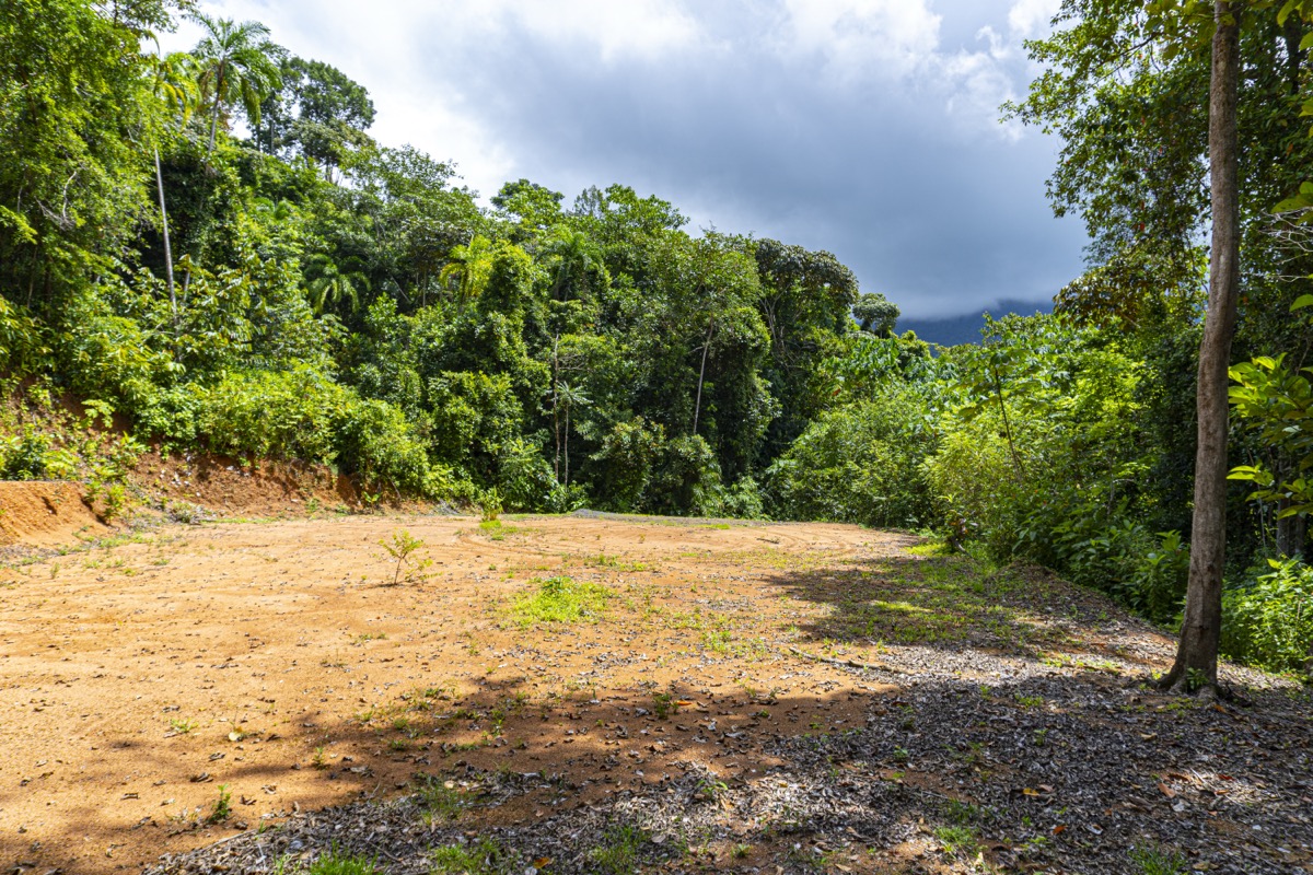 1.5 Acres with Mountain in San Buenas selected