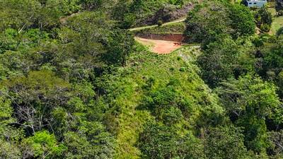 Spectacular Jungle Estate Property with Panoramic Ocean Views image 3