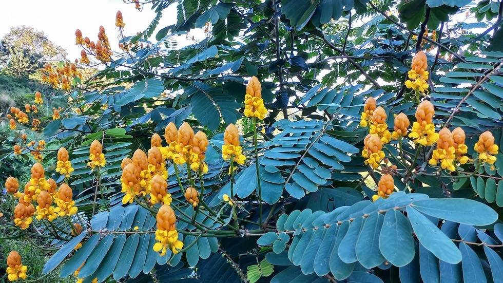 Brand New Mountain Home With Sunset Ocean Views in Tinamastes selected