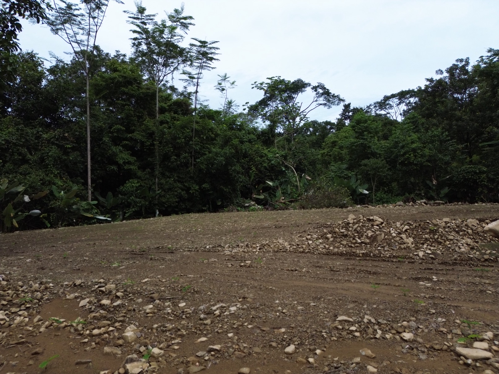 Exceptional Lot Offering Peace and Privacy in Ojochal selected