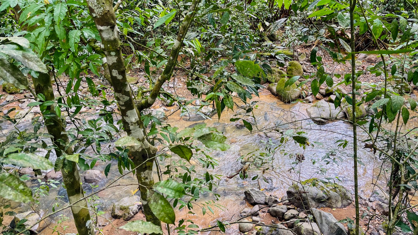 Contemporary Jungle Retreat in Tres Rios, Costa Rica selected