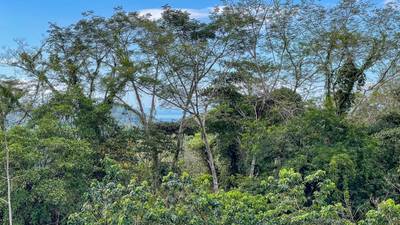 Ocean - Mountain View Lot for Sale in Ojochal, Costa Rica  image 4