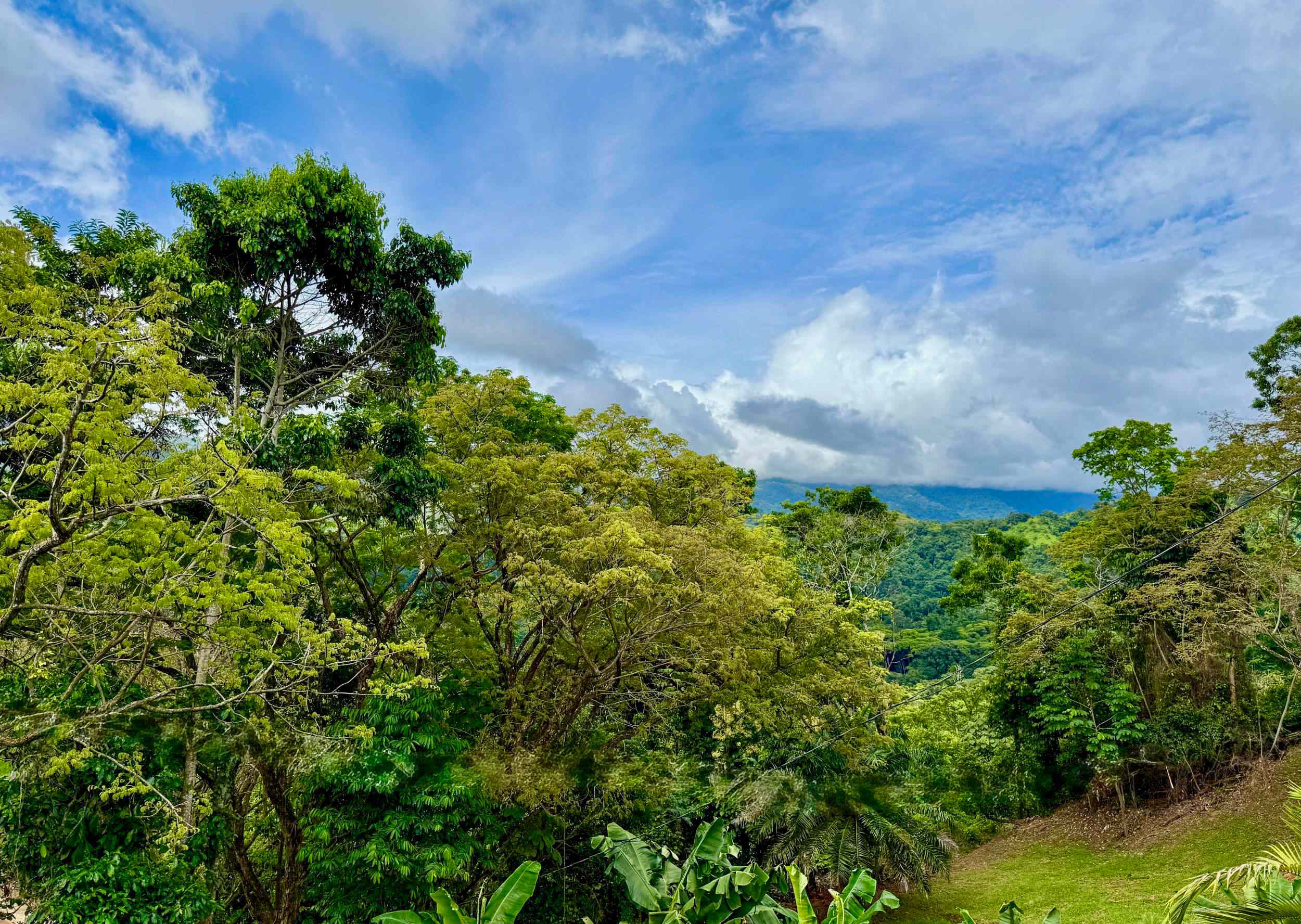 Brand New Modern Luxury 4-Bedroom Villa with Infinity Pool and Panoramic Ocean Views in Tawal selected