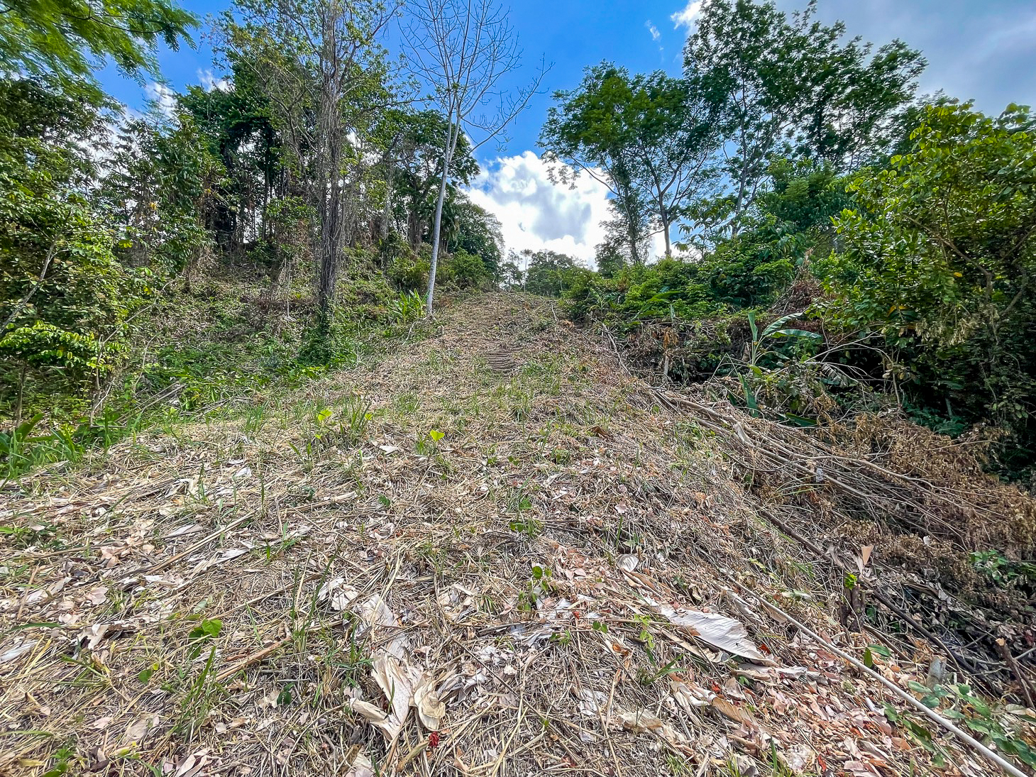 Excellent Dream Home Or Mini-Development Opportunity: 2.2-Acre Ocean View Property in Ojochal, Costa Rica selected