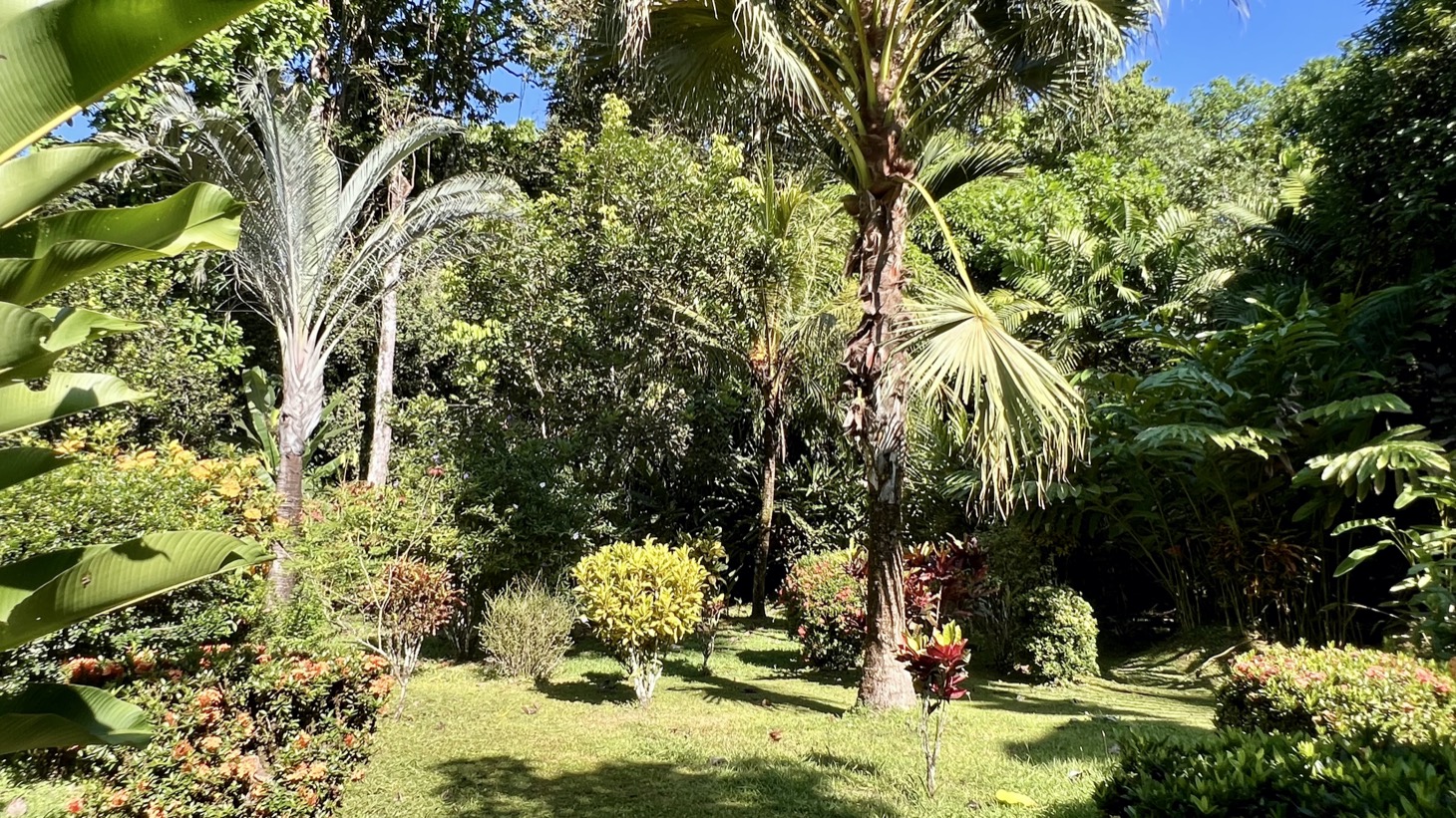 Tropical 2-Bedroom Riverfront Gem in Ojochal selected