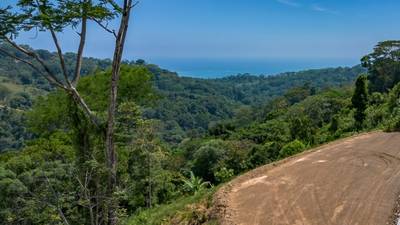 2.3-Acre Ocean View Homesite with Whale Tail Views in San Josecito image 1