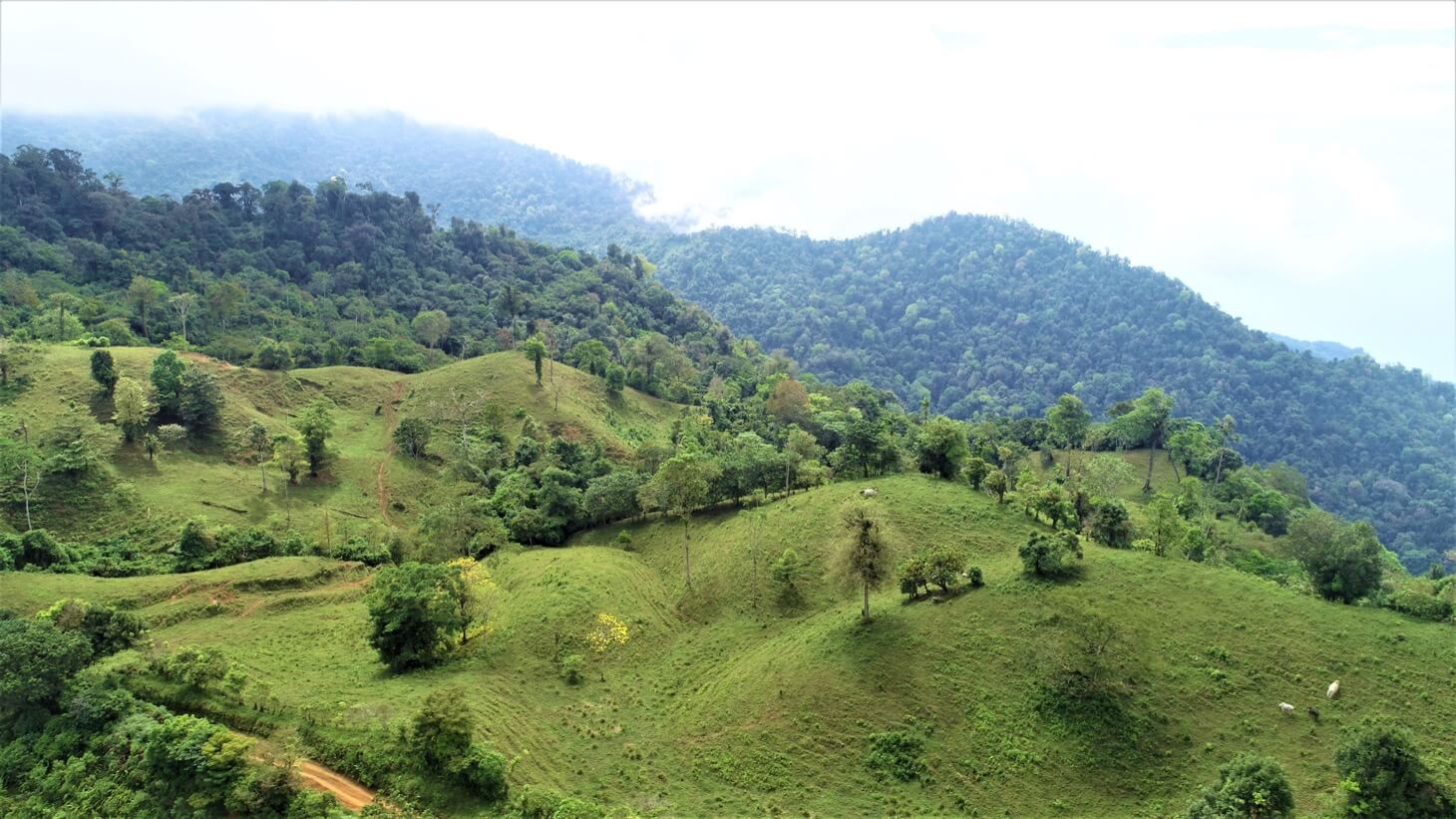 3 Spectacular Ocean View Farms in Uvita selected