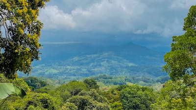 Scenic 2.53 Acres in Fila Cacao Ridge – Build-Ready Lot with Legal Water in Platanillo! image 1