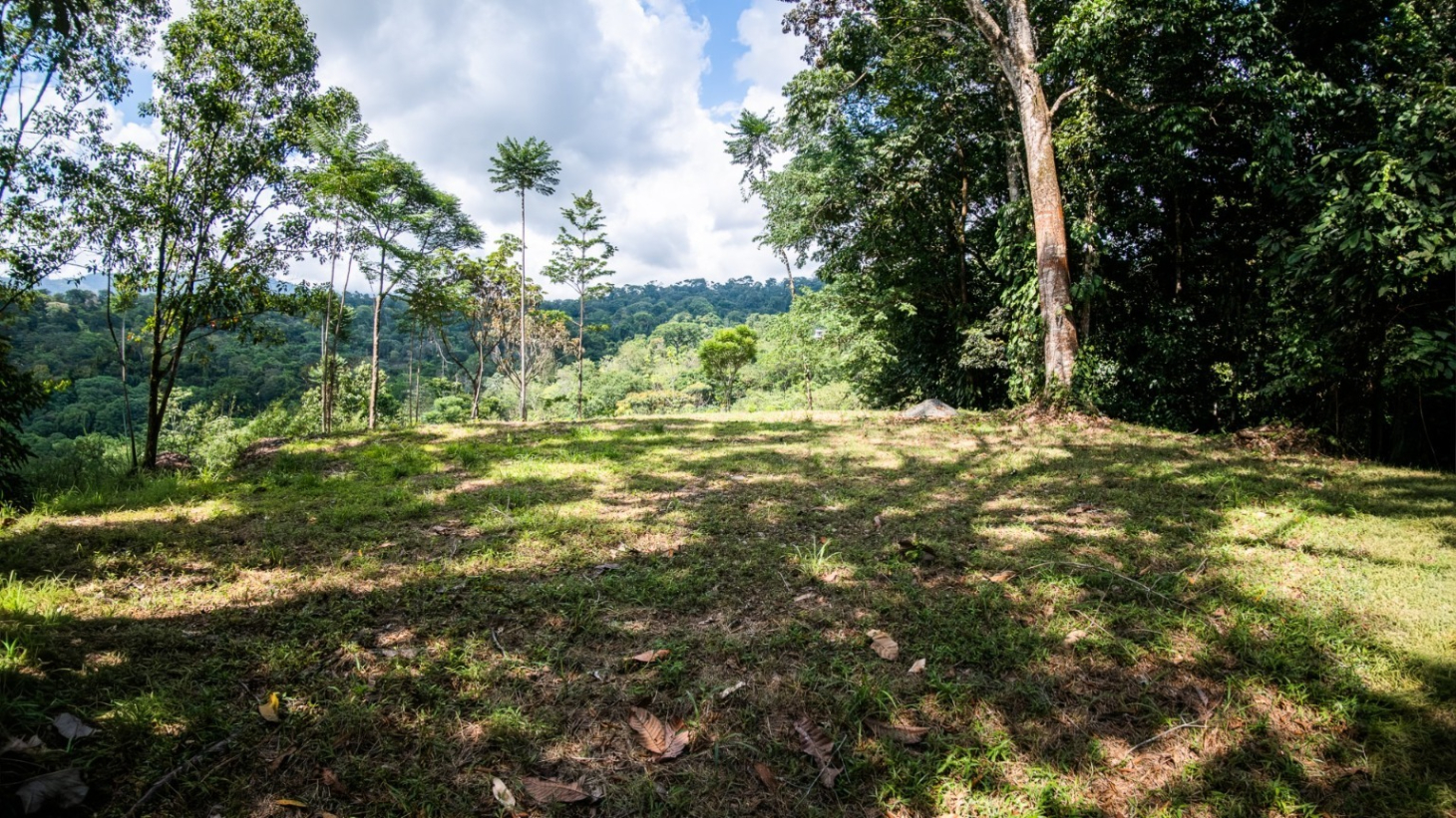 Tropical Sanctuary Above Uvita: 5-Acre Jungle Estate with incredible Mountain Views selected