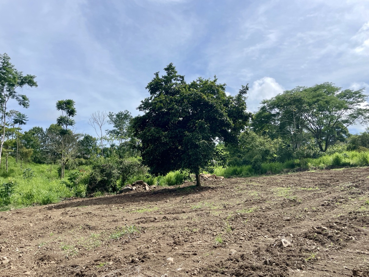 Serene 1.32-Acre Lot with Expansive Mountain Views in Caracara Ridge, Ojochal selected