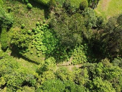 Spectacular Ocean View Lot in Ojochal (Calle Tucan) image 2