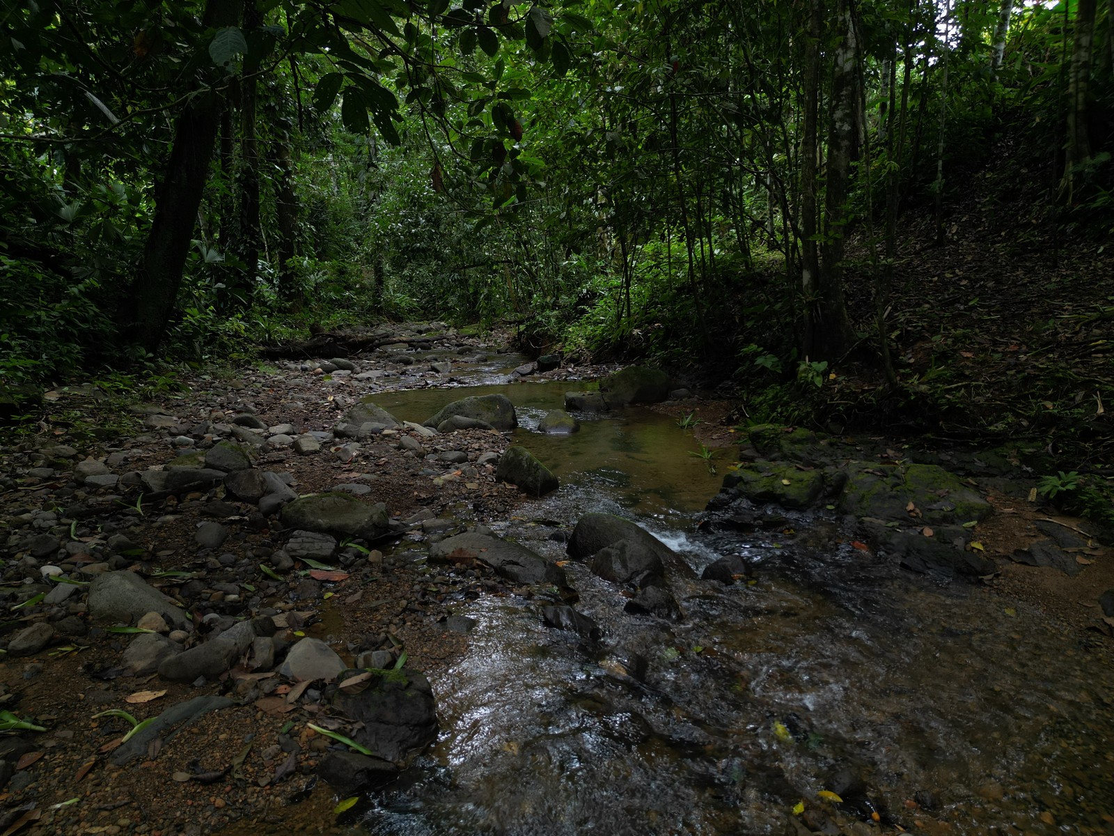 Turnkey Riverside Retreat in Ojochal selected