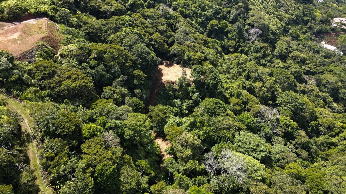 Whale's Tail and Ocean View lot for Sale in Costa Verde, Escaleras, Costa Rica selected