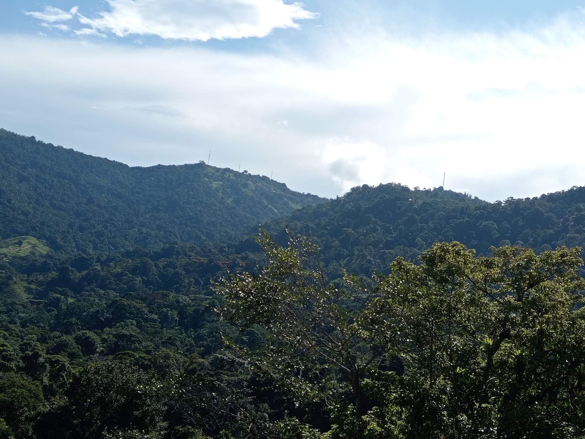 79Acre Farm In Tinamastes, Costa Rica