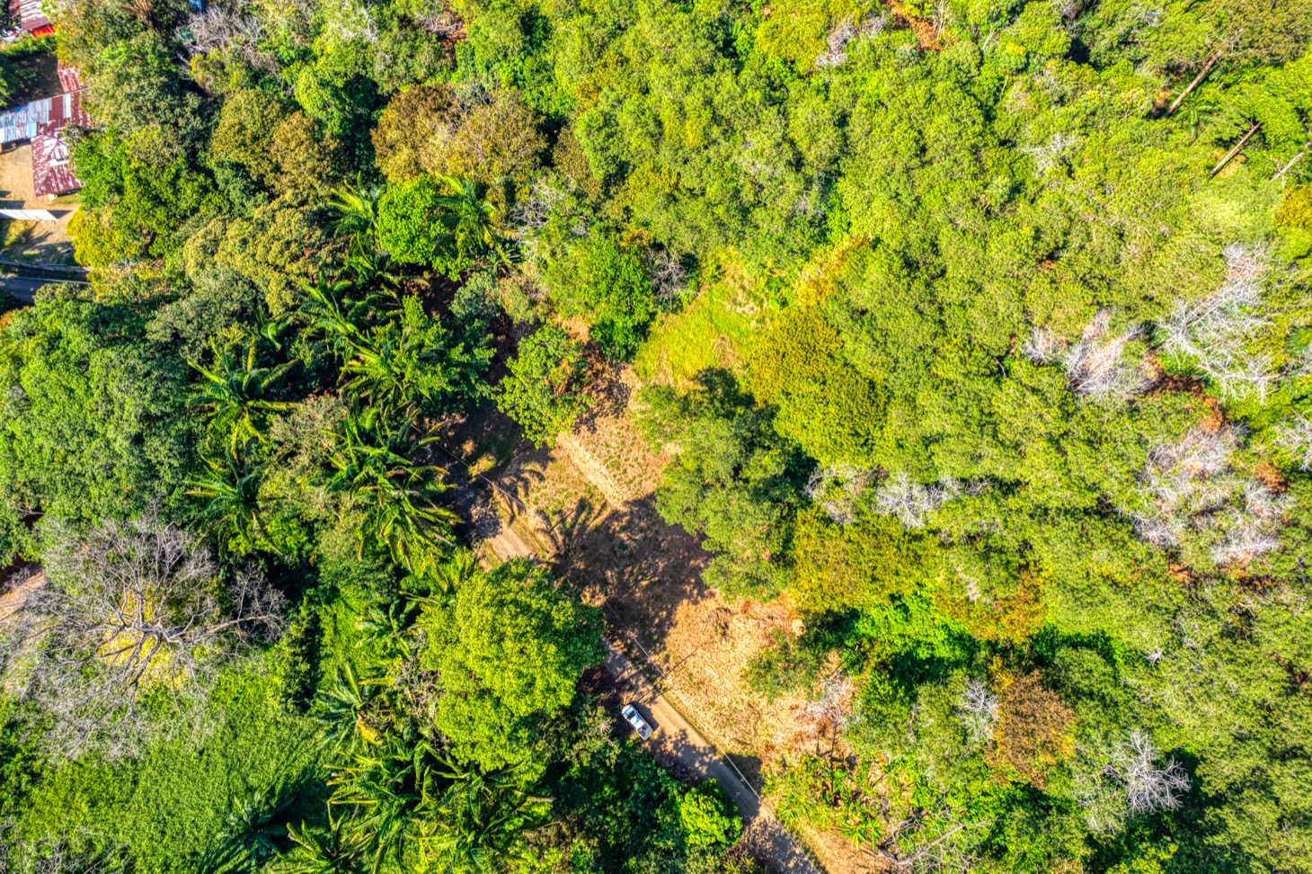 Ocean-View Property with Prime Location and Development Potential in Uvita selected