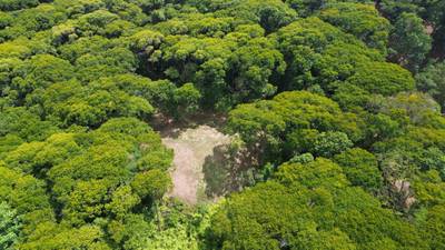 Your Private Jungle Retreat Just Minutes from Dominical image 2