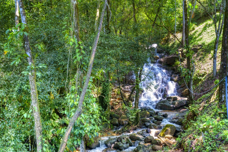 Elegant Mountain Retreat with Ocean and Jungle Views in a Private Gated Community selected