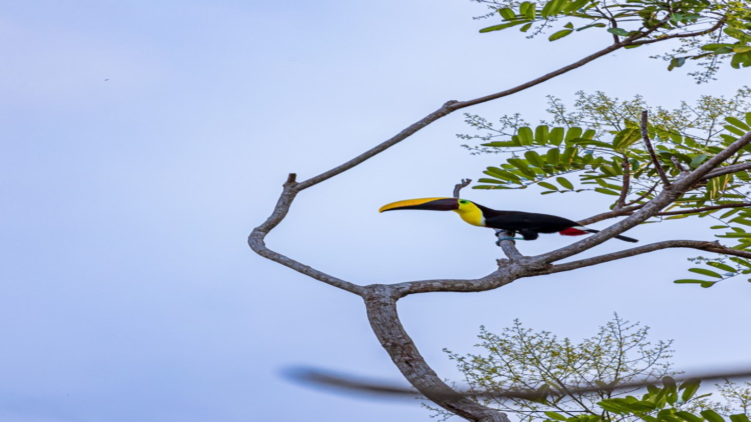 2 ACRES – 2 Bedroom Whales Tale Ocean View Home In Costa Verde Estates Gated Community selected