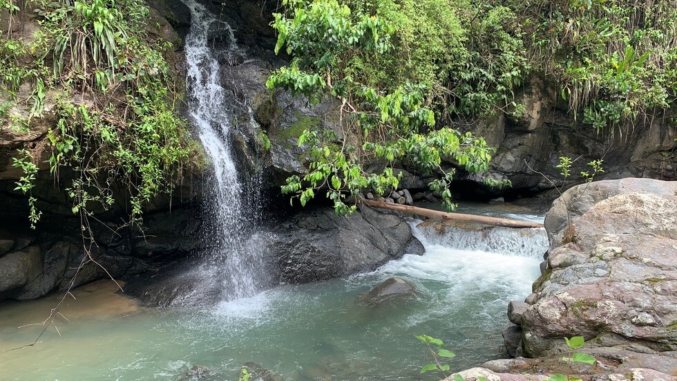 145 Acres With Swimming Holes, Waterfalls And Ocean Views selected