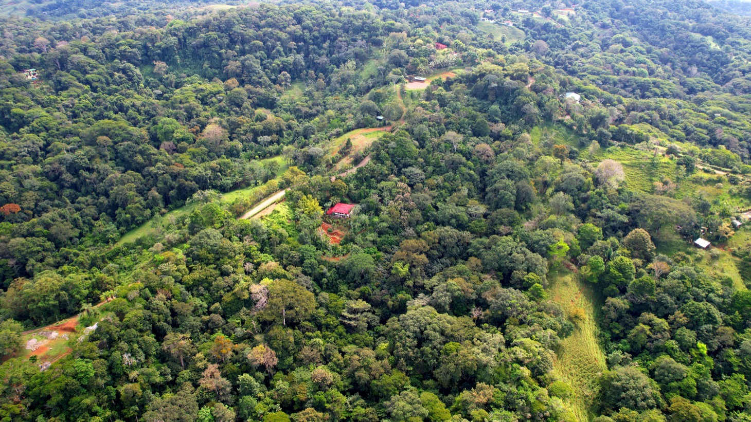 Valley of Dreams - A Beautiful Multi-Use Property Near Cacao Ridge, 10.85 Acres at a Phenomenal Price! selected
